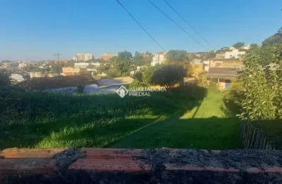 Terreno à venda na rua barão de bagé, 647, vila jardim, porto alegre, 303 m2 por r$ 440.000