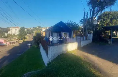 Terreno à venda na rua barão de bagé, 641, vila jardim, porto alegre, 250 m2 por r$ 440.000