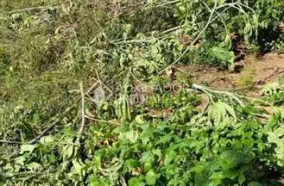 Terreno à venda na rua dolores duran, 337, lomba do pinheiro, porto alegre, 2350 m2 por r$ 970.000