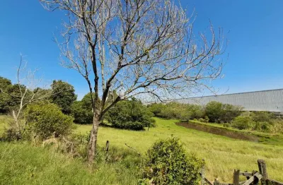 Terreno à venda na santa rita ao caju, 100, floresta, nova santa rita, 33000 m2 por r$ 3.000.000