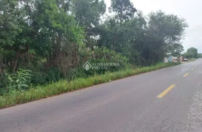 Terreno à venda na elizabete maria finkler, 100, mato grande, canoas, 100000 m2 por r$ 22.000.000