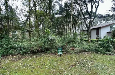 Terreno em condomínio fechado à venda na vale do quilombo, 9, reserva da serra, canela, 786 m2 por r$ 900.000