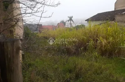 Terreno em condomínio fechado à venda na Rua Moema, 314, Chácara das Pedras, Porto Alegre, 520 m2 por R$ 1.220.000