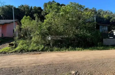 Terreno à venda na heinrich bundchen, 4, zona rural, picada café, 423 m2 por r$ 100.000