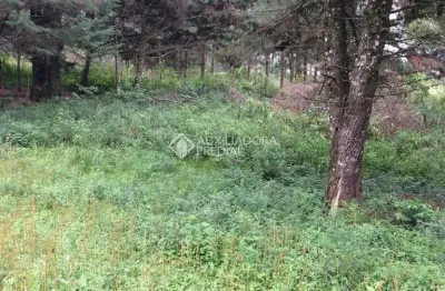 Terreno à venda na Quatorze (Lot Alpes Verdes), 1, Alpes Verdes, Canela, 14359 m2