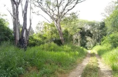 Terreno à venda na rua joão antônio lopes, 4000, lomba do pinheiro, porto alegre, 3538 m2 por r$ 4.499.000