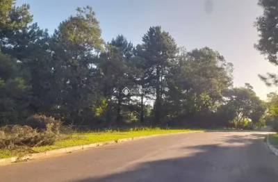 Terreno à venda na rua coronel jacob kroeff filho, 1131, rondônia, novo hamburgo, 7000 m2 por r$ 980.000