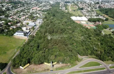 Terreno comercial à venda na rs - 239, 10, imigrante, campo bom, 32637 m2 por r$ 3.400.000
