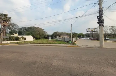 Terreno comercial à venda na alberto rubenich, 7710, travessão, dois irmãos, 2500 m2 por r$ 950.000