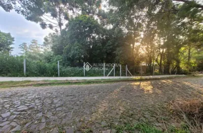 Terreno à venda na joão henning, 995, santo andré, são leopoldo, 1306 m2 por r$ 395.000