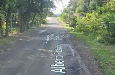 Terreno à venda na alberto rubenich, 1972, travessão, dois irmãos, 106975 m2 por r$ 1.750.000