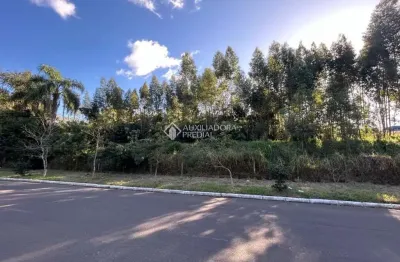Terreno à venda na rua bento manoel, 526, operário, novo hamburgo, 7119 m2 por r$ 4.500.000