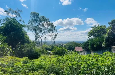 Terreno à venda na chico mendes, 98, boa saúde, novo hamburgo, 300 m2 por r$ 159.000