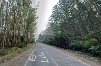 Terreno comercial à venda na leopoldo petry, 455, santo afonso, novo hamburgo, 210000 m2 por r$ 12.000.000