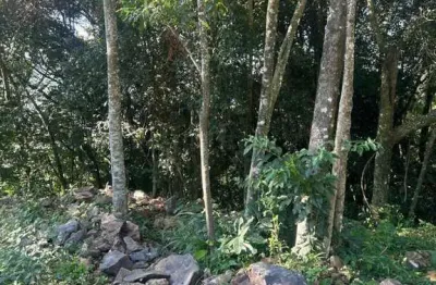 Terreno à venda na veranopolis, 3, pousada da neve, nova petrópolis, 714 m2 por r$ 371.000