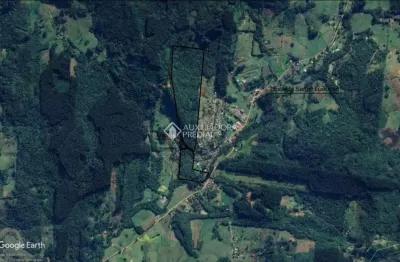 Terreno comercial à venda na pindio ferreira de jesus, 377, evaristo, santo antônio da patrulha, 190000 m2 por r$ 2.700.000
