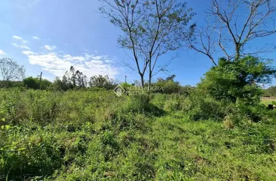 Terreno à venda na fazenda passos, 1465, rolantinho, rolante, 17542 m2 por r$ 120.000