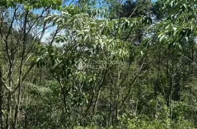 Terreno à venda na bosque dos ipês, 00, linha imperial, nova petrópolis, 378 m2 por r$ 185.976