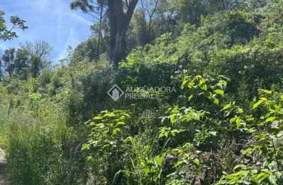 Terreno à venda na bosque das coníferas, 01, linha imperial, nova petrópolis, 429 m2 por r$ 232.027