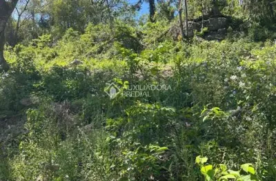 Terreno à venda na bosque das coníferas, 00, linha imperial, nova petrópolis, 467 m2 por r$ 253.863