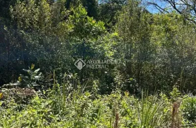 Terreno à venda na são jacó, bavária, nova petrópolis, 426 m2 por r$ 150.000