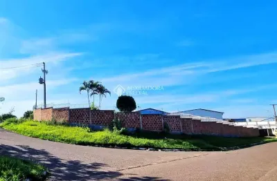 Barracão / galpão / depósito à venda na rua carlos afonso braunger, 60, santo afonso, novo hamburgo, 1248 m2 por r$ 2.990.000