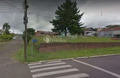 Terreno à venda na do parque, 180, primavera, dois irmãos, 910 m2 por r$ 650.000