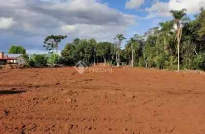 Terreno à venda na alberto rubenich, 1761, travessão, dois irmãos, 10494 m2 por r$ 1.599.000