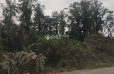 Fazenda à venda na do comércio, 00, barra do ouro, maquiné, 220000 m2 por r$ 700.000