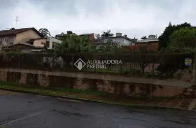 Terreno à venda na rua ernesto pellanda, 450, vila jardim, porto alegre, 422 m2 por r$ 250.000