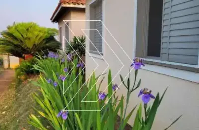 Casa em condomínio fechado com 3 quartos à venda na Avenida João Procópio da Silva, 211, Jardim Esmeralda, Marília, 120 m2 por R$ 550.000