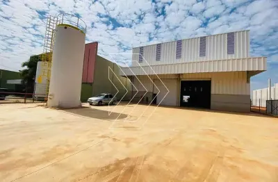 Barracão / Galpão / Depósito para alugar na Rua Carlos Tosin, 50, Distrito Industrial, Marília, 1500 m2 por R$ 30.000