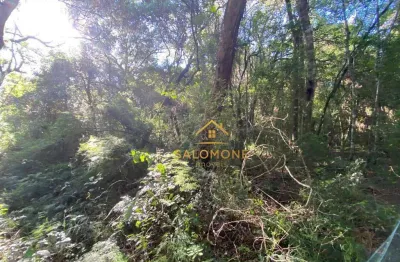 Terreno à venda na Rodovia Tapir Rocha - km 28, 9, Águas Claras, Viamão