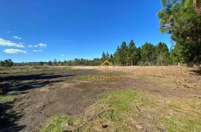 Terreno comercial à venda na Rodovia Tapir Rocha - km 28, 345, Águas Claras, Viamão
