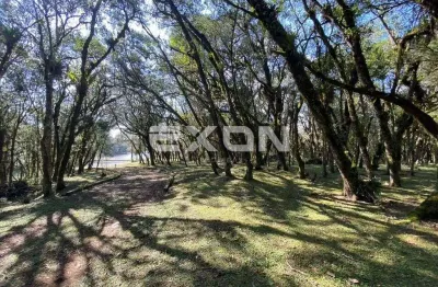Chácara / sítio com 1 quarto à venda na Rua Antônio Quintino de Almeida, 950, Contenda, São José dos Pinhais