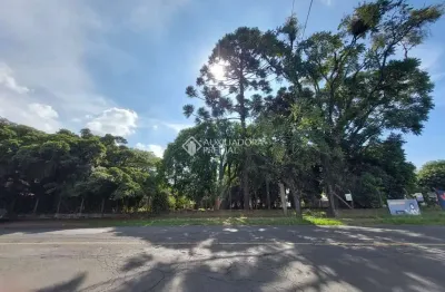 Terreno comercial à venda na graciano luiz silveira esq rua constelação, 191, santa teresa, são leopoldo, 1843 m2 por r$ 851.000
