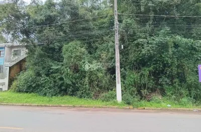 Terreno à venda na rua carlos krohn, 862, campestre, são leopoldo, 395 m2 por r$ 220.000