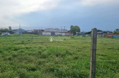 Terreno à venda na avenida mauá, 5163, santos dumont, são leopoldo, 3777 m2 por r$ 1.500.000