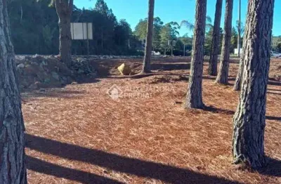 Terreno comercial à venda na Br 282 km 113, 00, Lomba Alta, Alfredo Wagner, 110 m2 por R$ 2.000.000