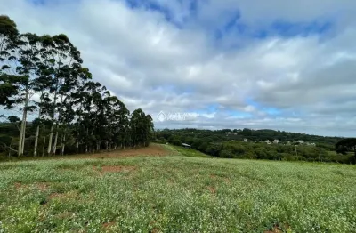 Terreno à venda na estrada costa gama, 2933, hípica, porto alegre, 9808 m2 por r$ 14.000.000