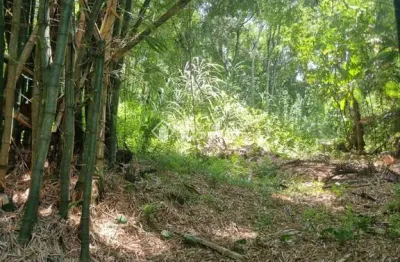 Terreno à venda na rua intendente antônio damasco, 448, ratones, florianópolis, 5713 m2 por r$ 3.250.000