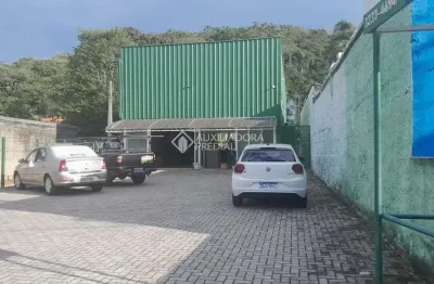 Barracão / galpão / depósito à venda na rodovia doutor antônio luiz moura gonzaga, 4559, rio tavares, florianópolis, 400 m2 por r$ 3.620.000
