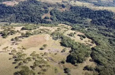 Fazenda à venda na adolfo konder, 100, centro, urubici, 20000 m2 por r$ 1.150.000