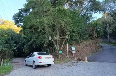 Terreno à venda na rua rosa, 108, pantanal, florianópolis, 6000 m2 por r$ 1.500.000