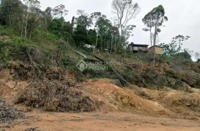 Terreno à venda na rua professor milton sullivan, 226, carvoeira, florianópolis, 22621 m2 por r$ 30.000.000