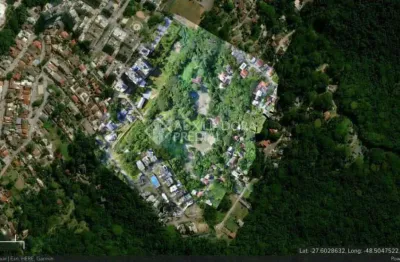 Terreno à venda na servidão antônio irineu da silva, 330, córrego grande, florianópolis, 45000 m2 por r$ 11.500.000
