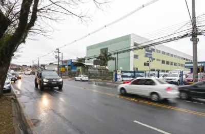 Ponto comercial com 50 salas à venda na Avenida Vereador Toaldo Túlio, 4523, Orleans, Curitiba