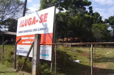 Terreno comercial para alugar na Avenida Vereador Toaldo Túlio, 957, Santa Felicidade, Curitiba