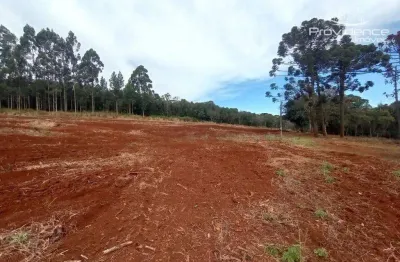 Chácara à venda, 937 m² por r$ 374.000,00 - zona industrial - cascavel/pr