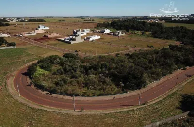 Terreno à venda, 517 m² por r$ 570.000,00 - tropical ii - cascavel/pr